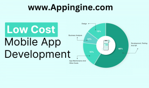 Which company develops a Mobile app at a Low cost?