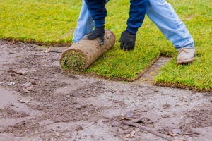 Sod versus Artificial Turf: Environmental and Practical Tips