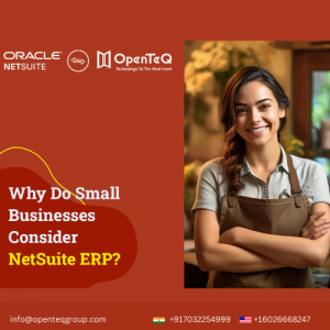 Harnessing NetSuite Supplier Portal for the Growth of Food and Beverage Businesses | OpenTeQ