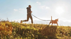 Exercise and Mental Stimulation for Pets: A Comprehensive Guide