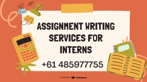 Assignment Writing Services for Interns