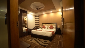 Luxurious Executive Room in New Delhi