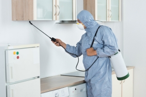 Pest Control Services Lahore