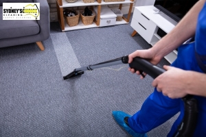 Facts to Consider When Picking a Professional Carpet Cleaning Sydney Service