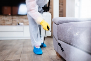 Bed Bug Spray Services