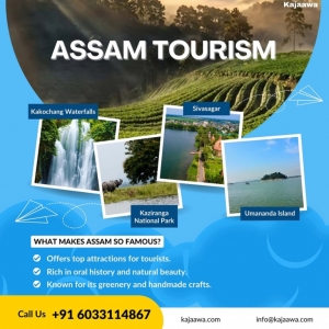 Discover the Enchanting Charms of Assam and Kaziranga