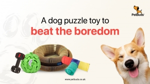 A dog puzzle toy to beat the boredom