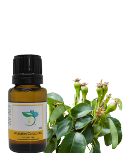 Discover the Benefits of Clove Bud Indonesia Essential Oil