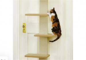 Convenience and Variety: Buying Cat Scratching Posts Online