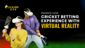 Cricket Betting Experience with Virtual Reality