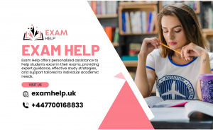 UK's Top Exam Help Online by Professional Exam Helpers