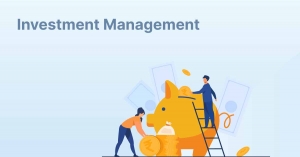 What is Investment Management Services?