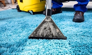 Why Professional Carpet Cleaning Services Are Important for Events