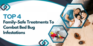 Top 4 Family-Safe Treatments to Combat Bed Bug Infestations