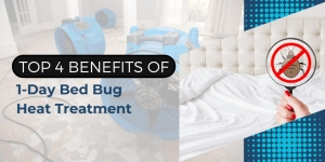 Top 4 Benefits of 1-Day Bed Bug Heat Treatment