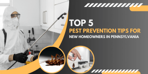 Top 5 Pest Prevention Tips for New Homeowners in Pennsylvania