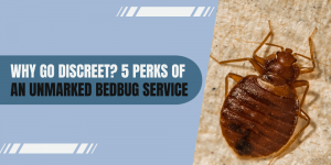 Why Go Discreet? 3 Perks of an Unmarked Bedbug Services