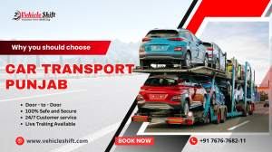 Why you should choose car transport punjab