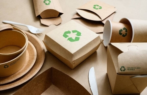 The Environmental Impact of Traditional Paper vs. Eco-Friendly Paper