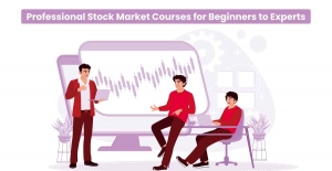 Professional Stock Market Courses: From Novice to Expert