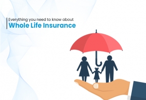 All You Need to Know About Whole Life Insurance