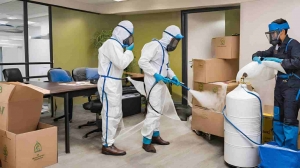 Fumigation Services Near Me: Your Comprehensive Guide