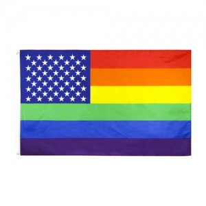 The Evolution of the Gay Pride American Flag in Modern Activism