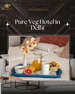 Pure Veg Hotel in Delhi