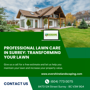 Professional Lawn Care in Surrey: Transforming Your Lawn | Evershine Landscaping