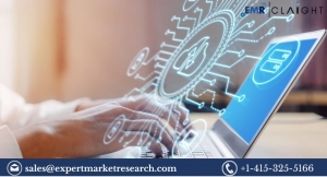 Data Storage Market Growth: Trends, Insights, and Projections 2024-2032