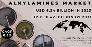 Alkylamines Market Segmentation and Regional Analysis Report 2024-2031