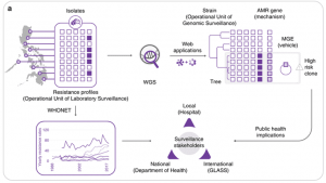 Unveiling How Microbial Genes Transfer Horizontally by Whole-Genome Sequencing