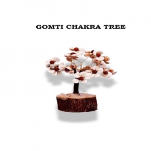 Gomti Chakra Tree - Go Life Shopping