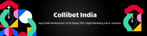 Choosing the Right Web Application Development Partner with Top IT Company | Collibet India