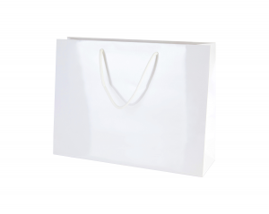 The Versatility of Small Paper Bags: Elevating Gift Presentation with White Gift Bags from Thepaperbagstore