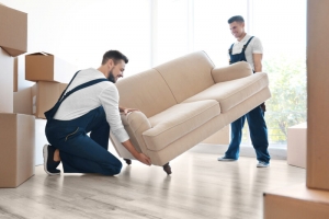 Factors To Consider When Selecting The Best Moving Company In Dubai