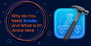 Why do You Need Xcode, and What Is It? Know Here