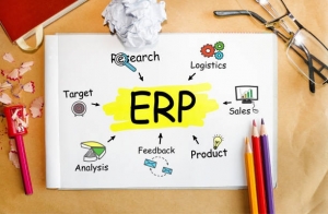 Revolutionize Your Skills: The Ultimate Guide to ERP Training