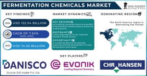 Fermentation Chemicals Market  Growth, Regional Analysis and Future Scope Report 2024-2031