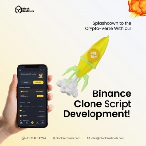 Why Entrepreneurs Choose Binance Clone Scripts