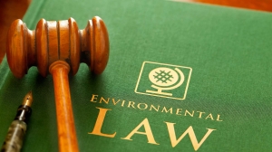 Exploring Environmental Law Jobs in the UK: Opportunities, Skills, and Career Path