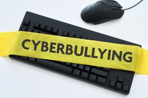 Combating Cyberbullying 