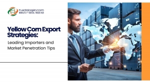 Yellow Corn Export Strategies: Leading Importers and Market Penetration Tips