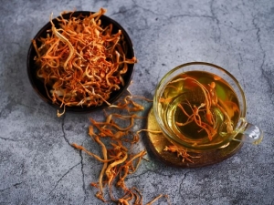 Cordyceps Sinensis and Militaris Extract Market is anticipated to Witness High Growth Owing to Rising Demand in Health Supplement Industry