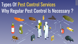 Types of Pest Control Services? Why Regular Pest Control is Necessary?
