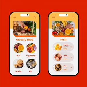 Inside the Zappfresh Meat Delivery App: From Concept to Launch