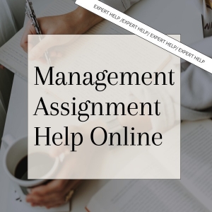 Boost Your Career With Affordable Management Assignment Help