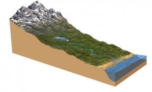 The Role of Research Organisations in Surveying Irrigation Projects