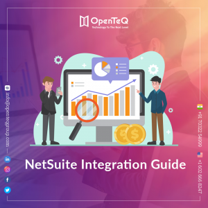 Boost Your E-commerce Business Growth with NetSuite B2B Portals | OpenTeQ