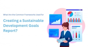 What Are the Common Frameworks Used for Creating a Sustainable Development Goals Report?